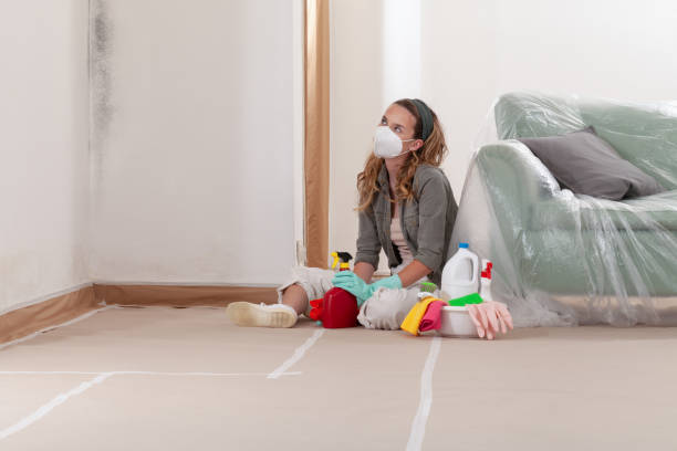 Reliable Mold Remediation contractor in Houston, TX by Mold Remediation HQ